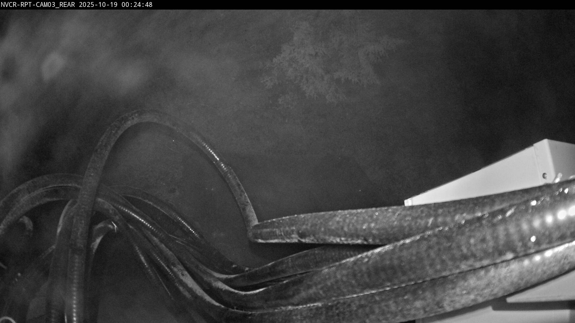 Web Cam History Image - 505