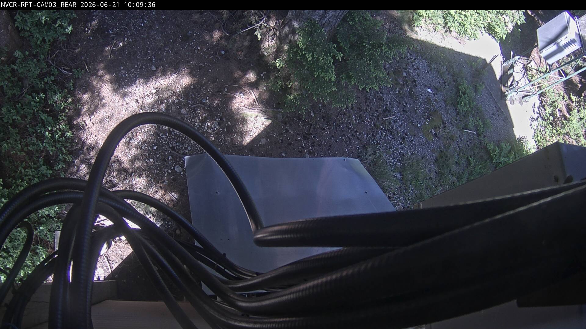 Web Cam History Image - 505