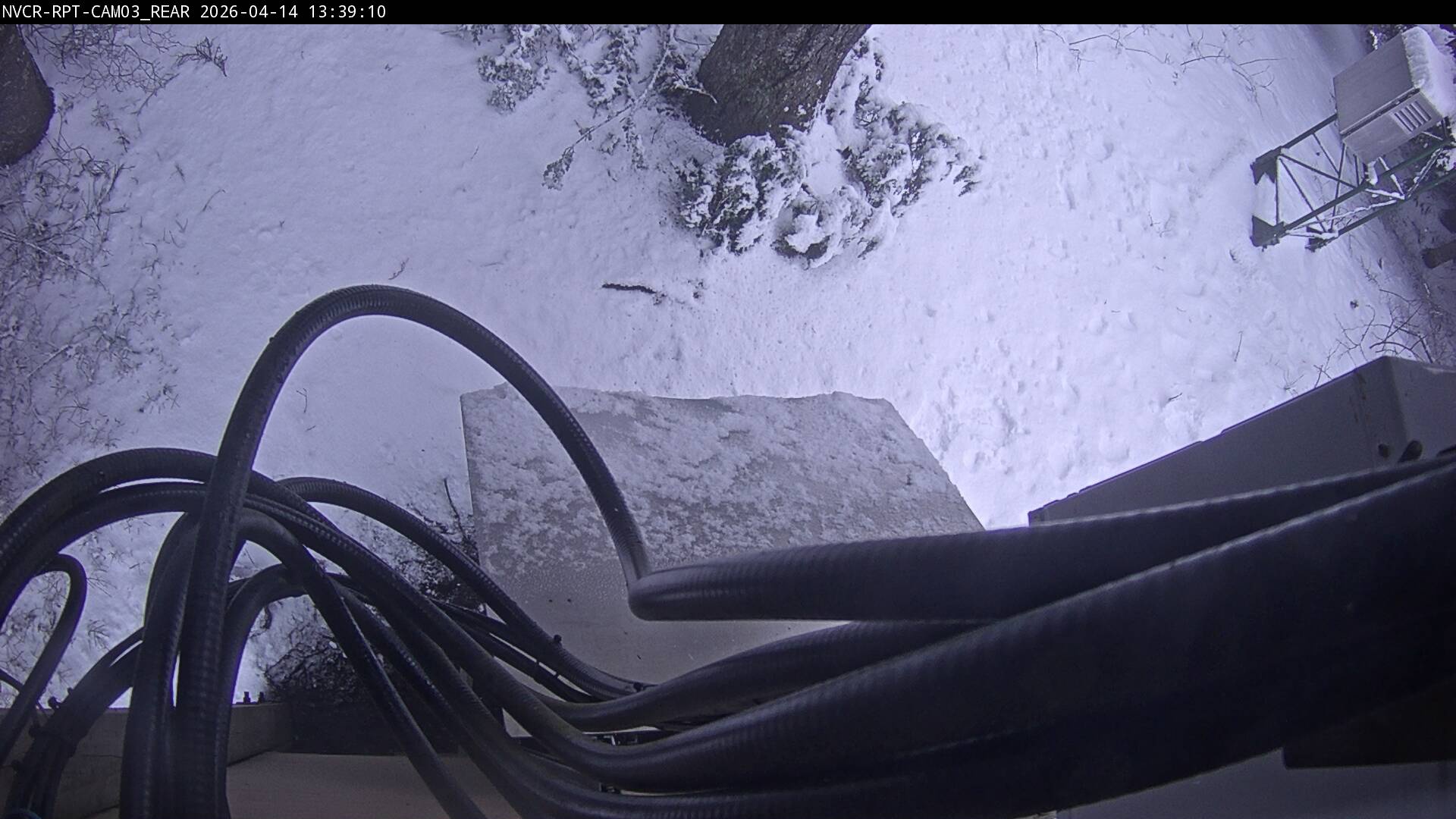 Web Cam History Image - 506