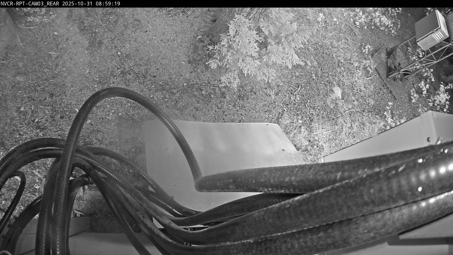 Web Cam History Image - 507