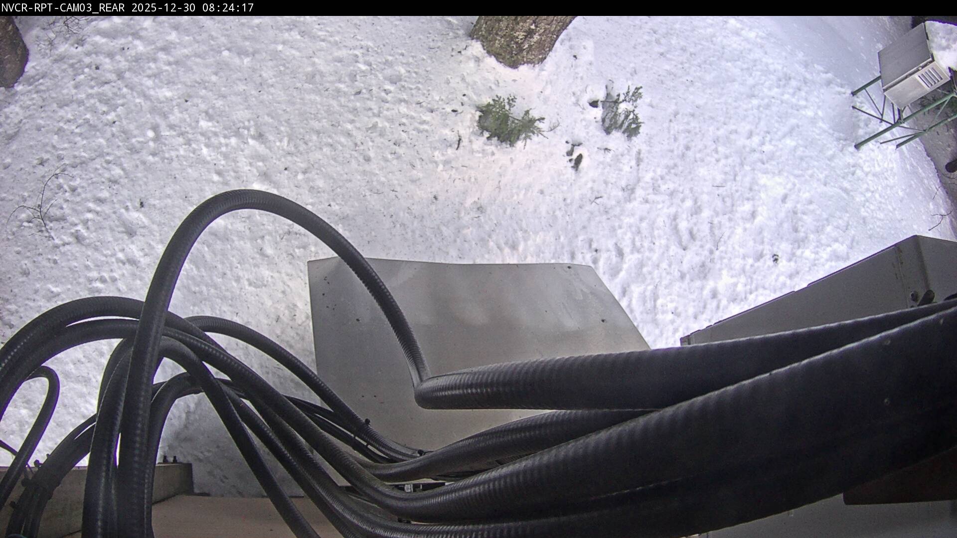 Web Cam History Image - 507