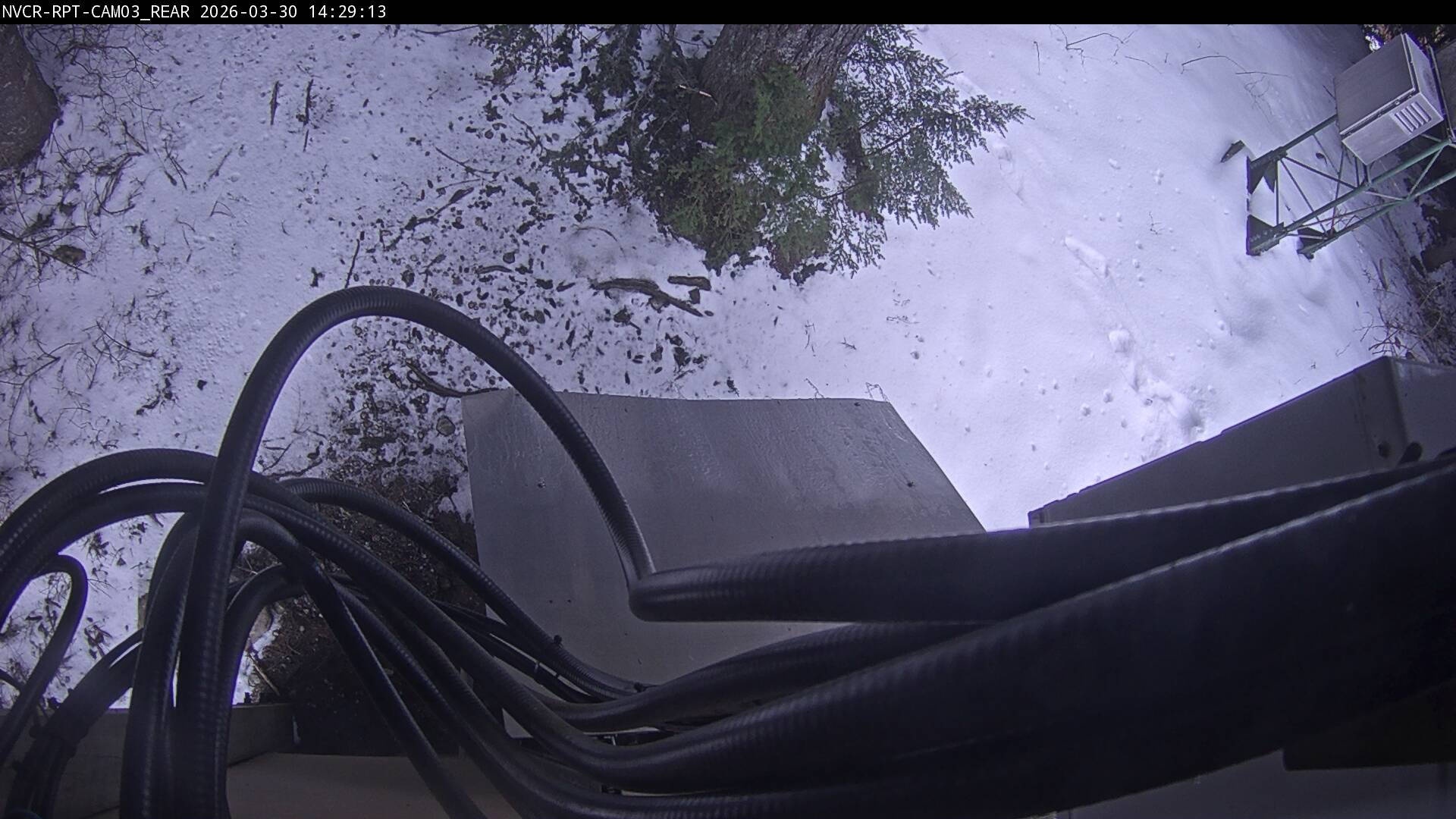 Web Cam History Image - 507