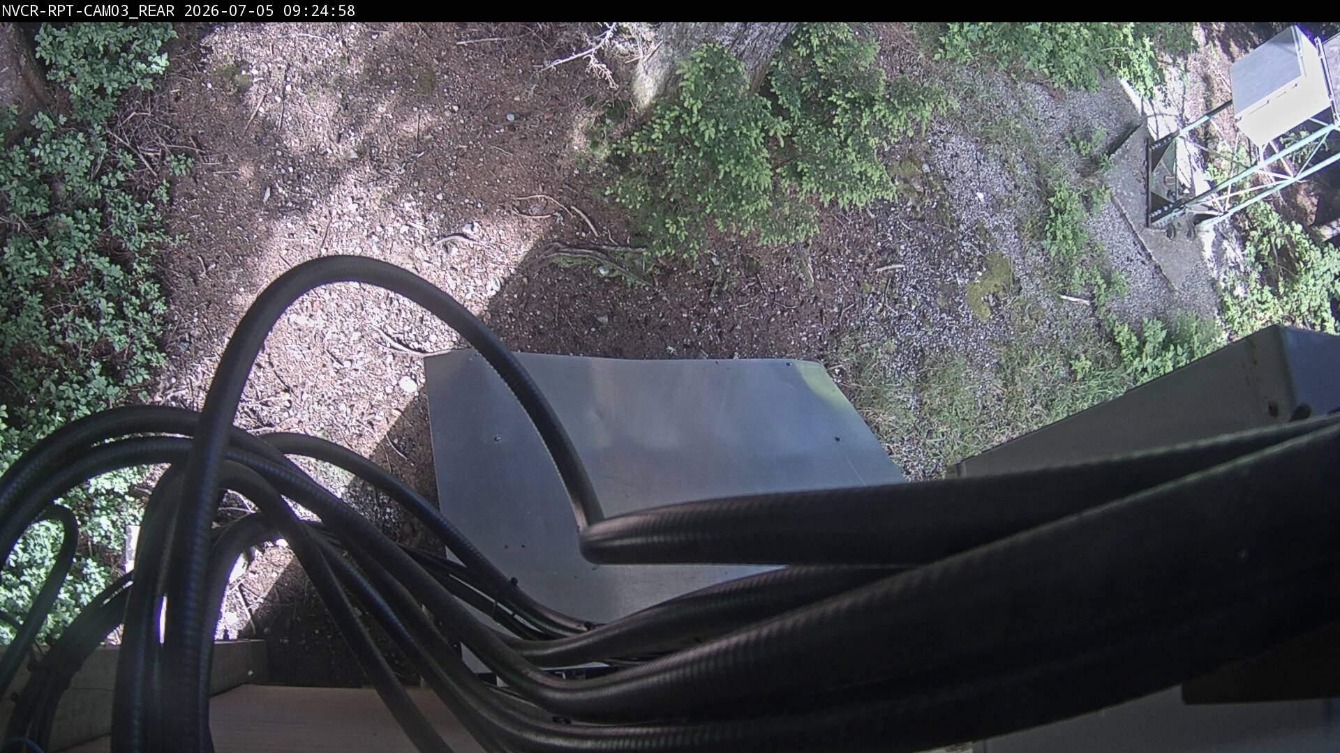 Web Cam History Image - 507