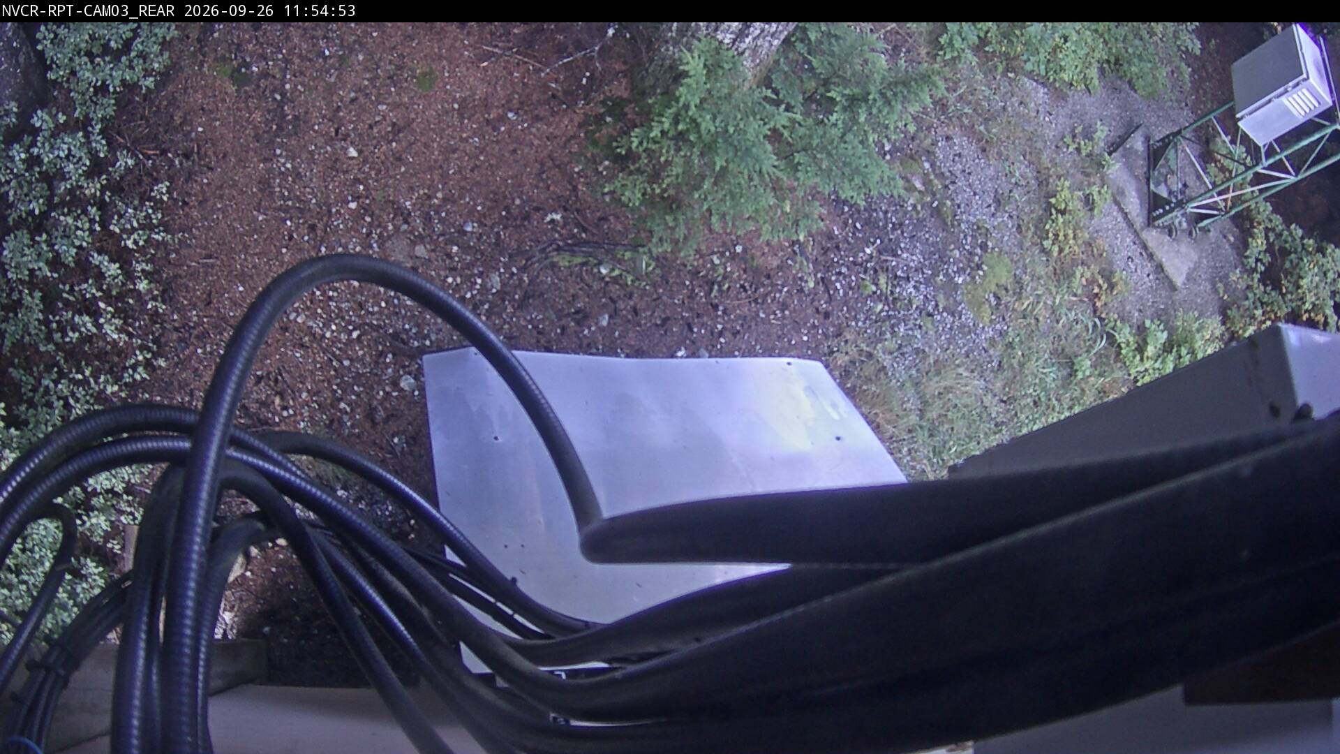 Web Cam History Image - 507