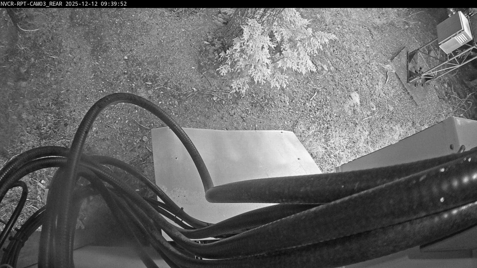 Web Cam History Image - 509