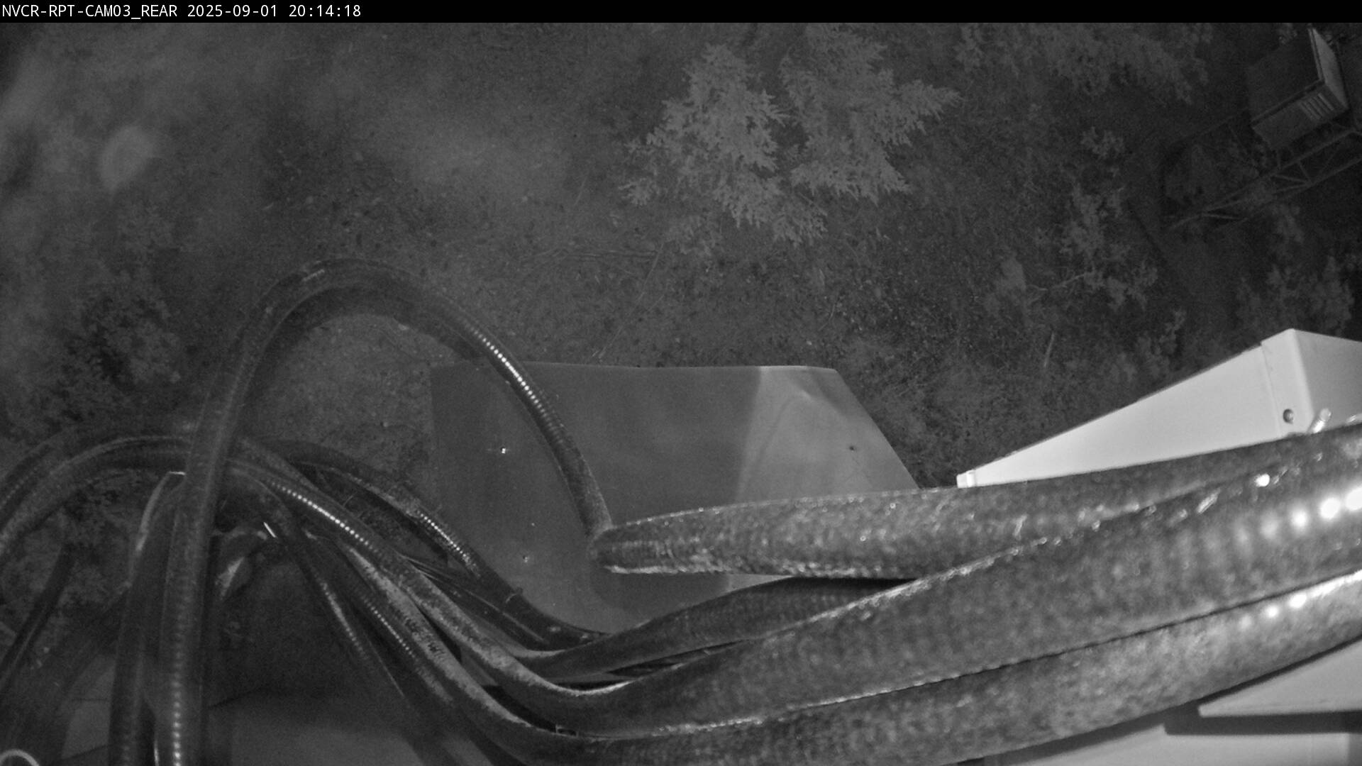 Web Cam History Image - 510