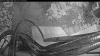 Web Cam Image - Mon, 07/27/2026 5:14am PDT
