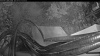 Web Cam Image - Thu, 09/03/2026 7:04pm PDT