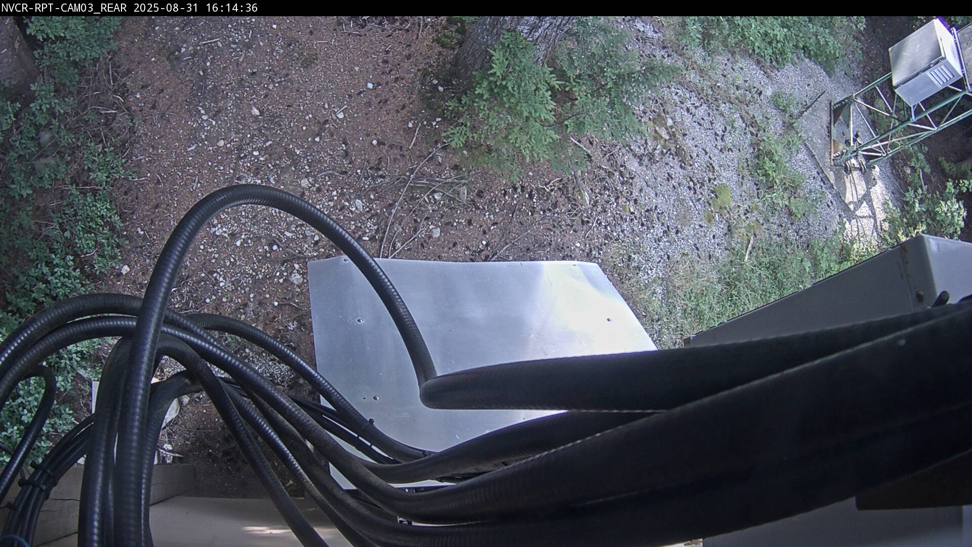 Web Cam History Image - 52