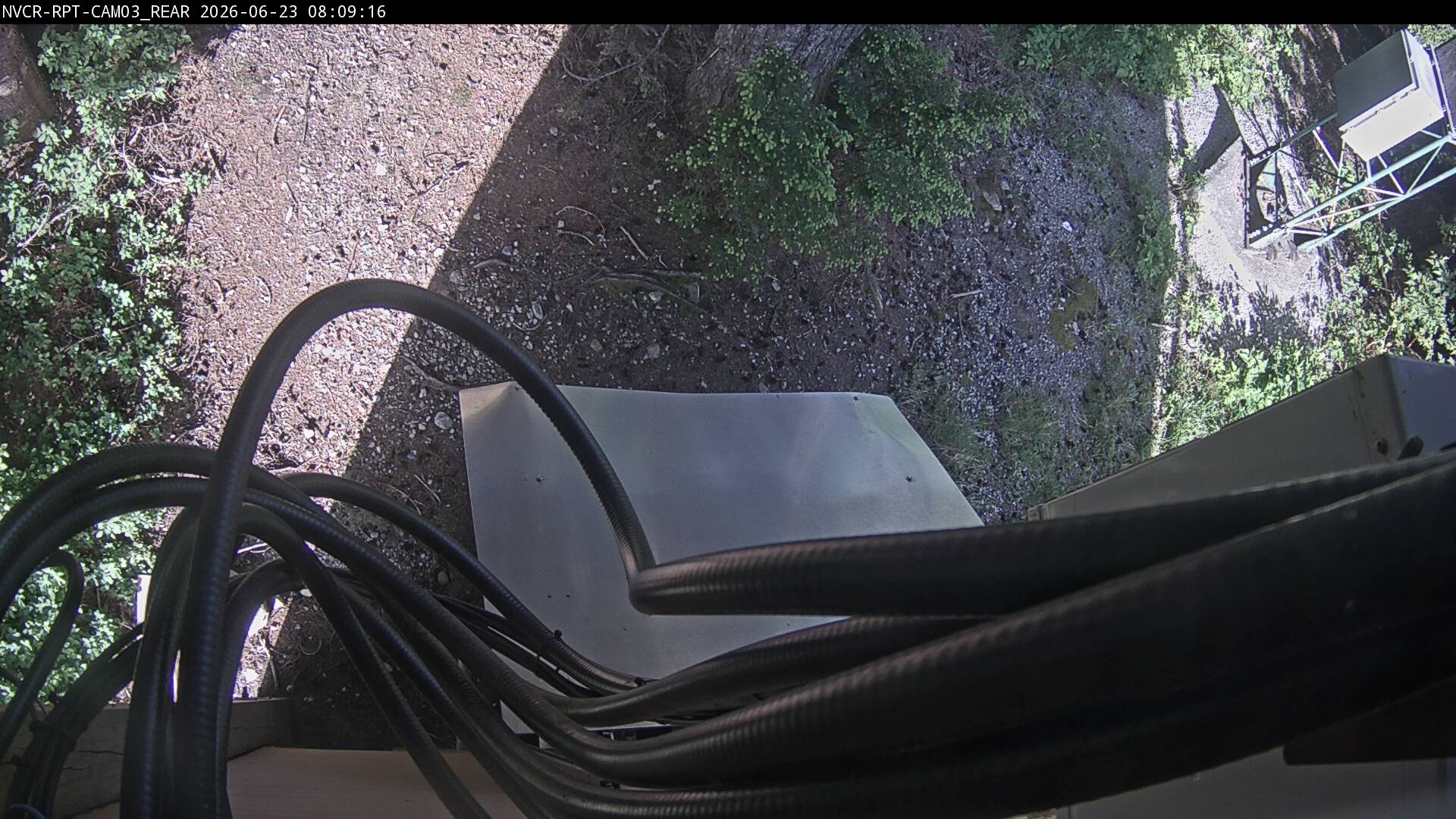 Web Cam History Image - 52