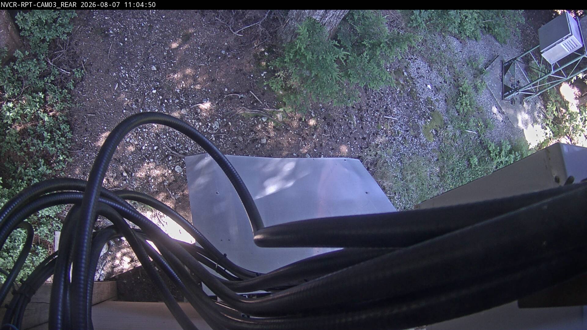 Web Cam History Image - 52