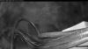 Web Cam Image - Sat, 05/02/2026 10:49pm PDT