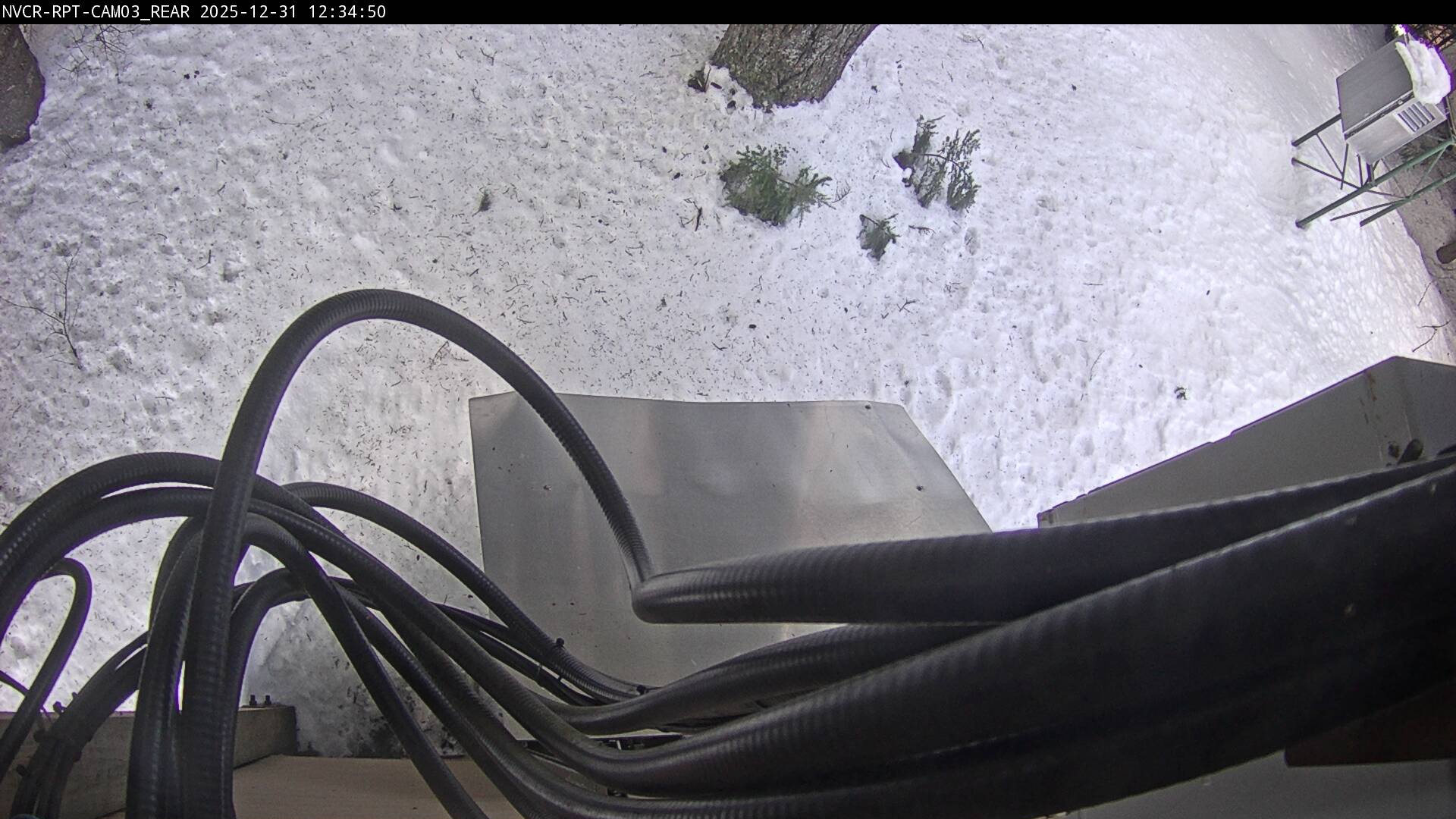 Web Cam History Image - 511