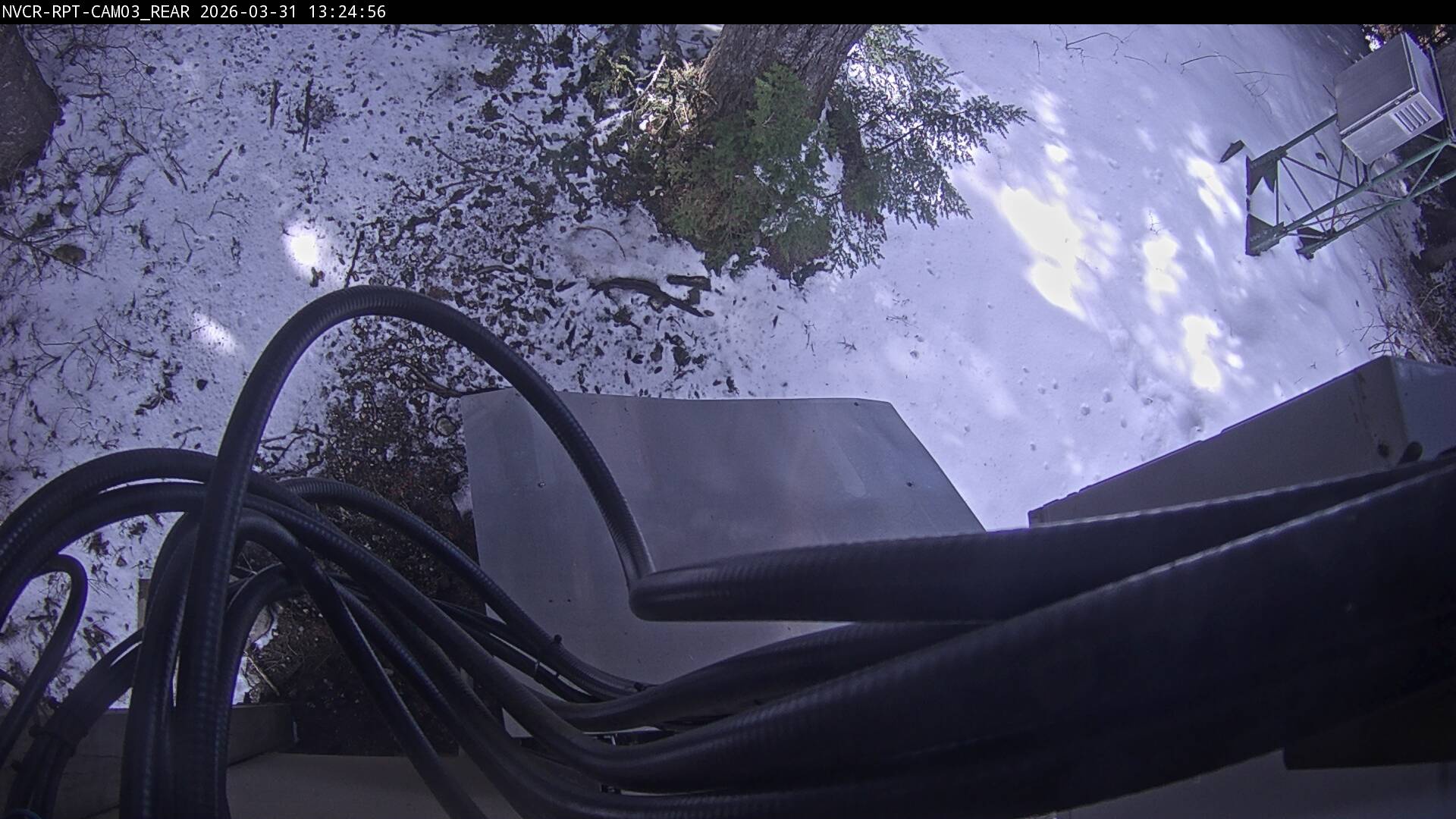 Web Cam History Image - 511