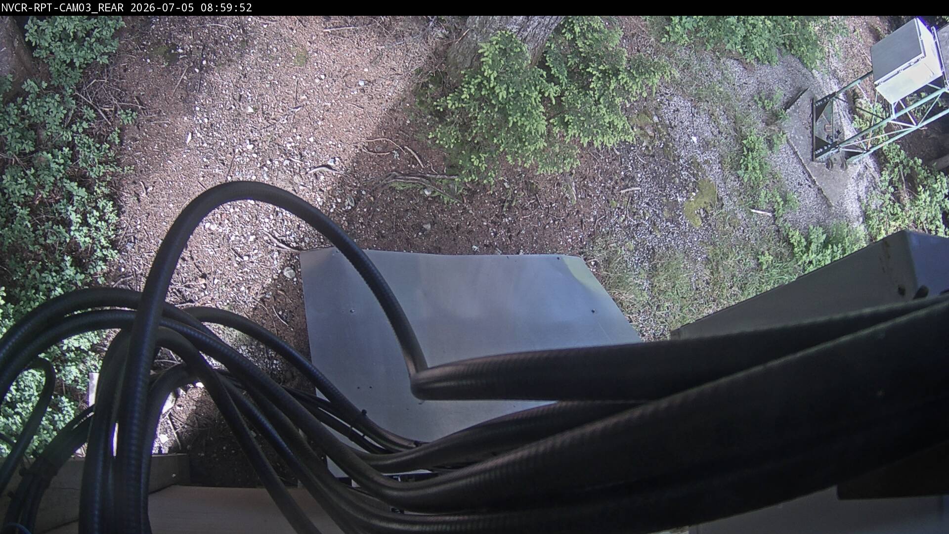 Web Cam History Image - 511
