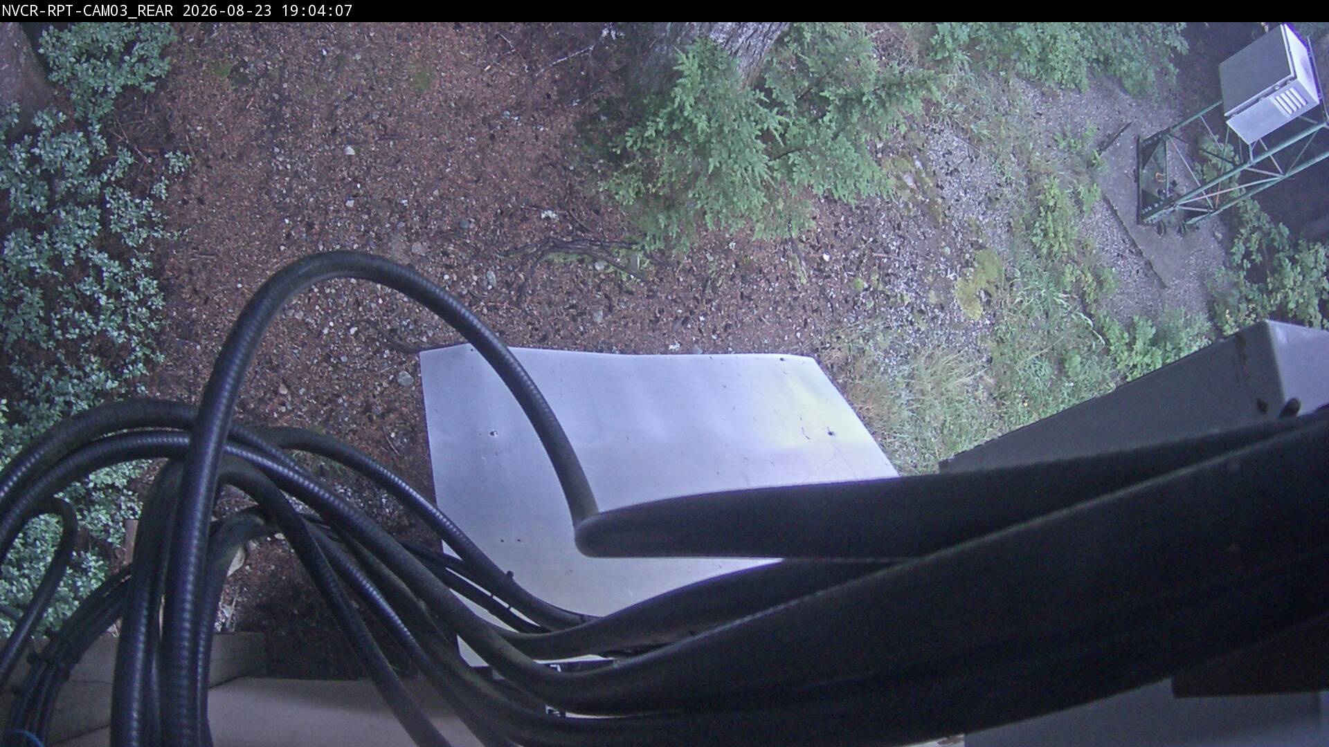 Web Cam History Image - 511