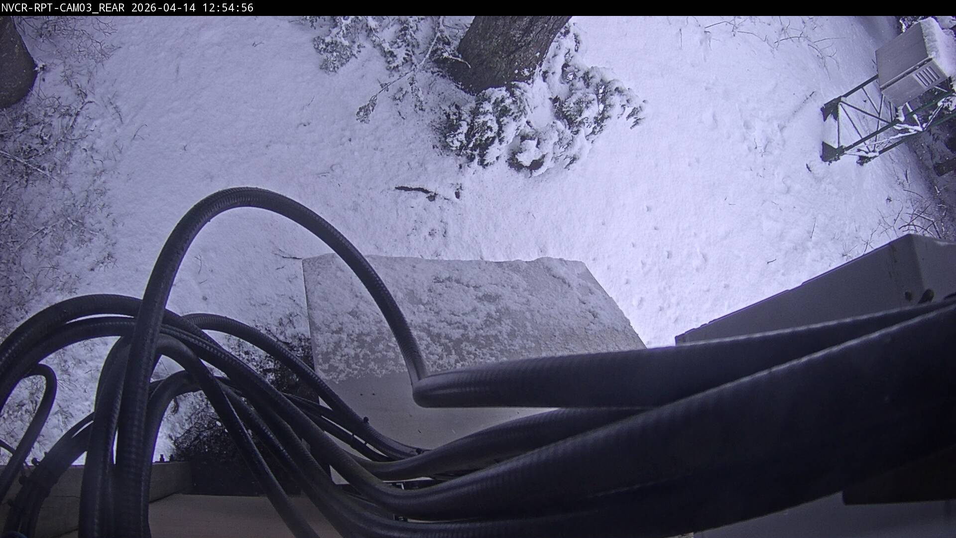 Web Cam History Image - 512