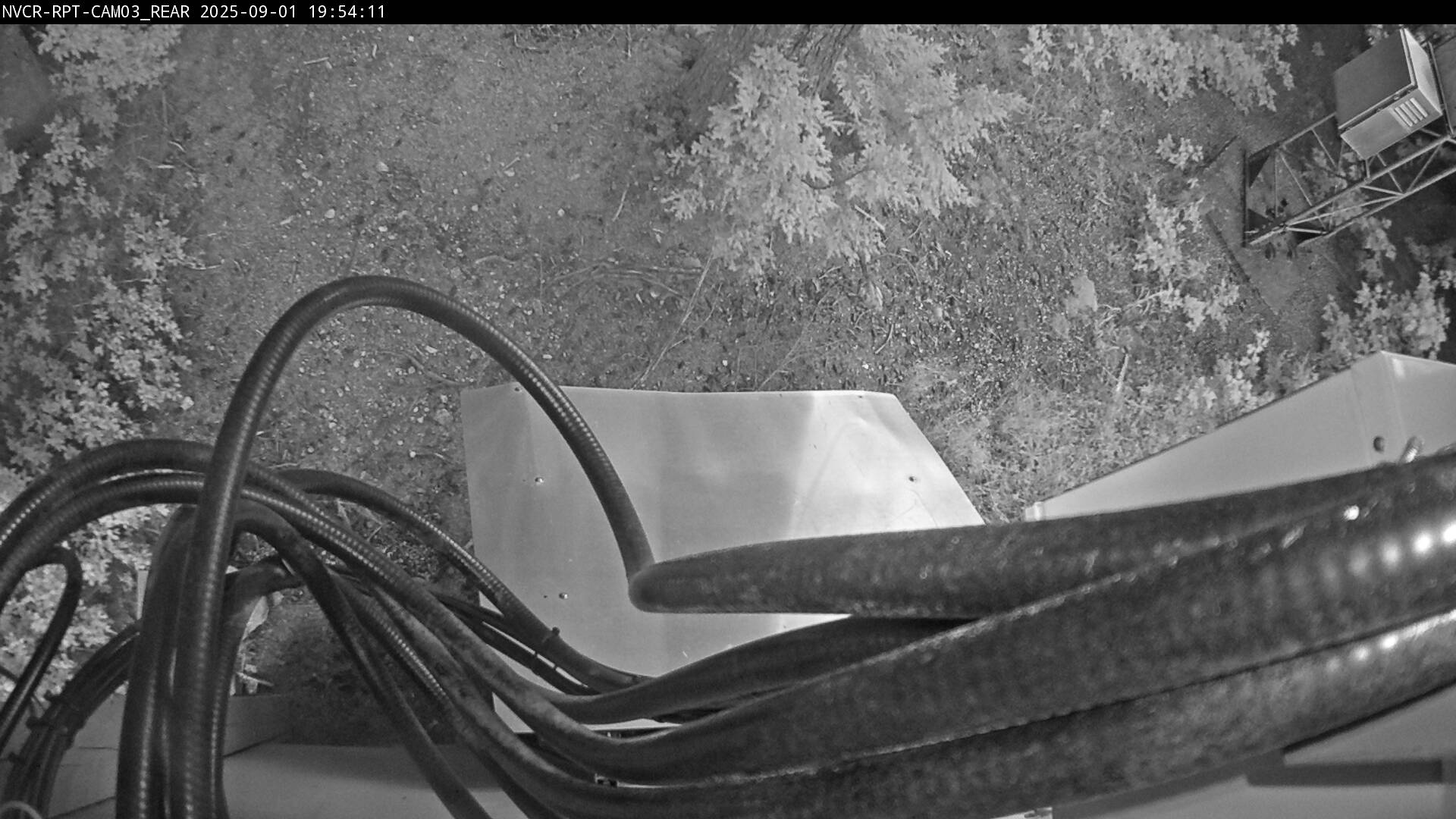 Web Cam History Image - 513