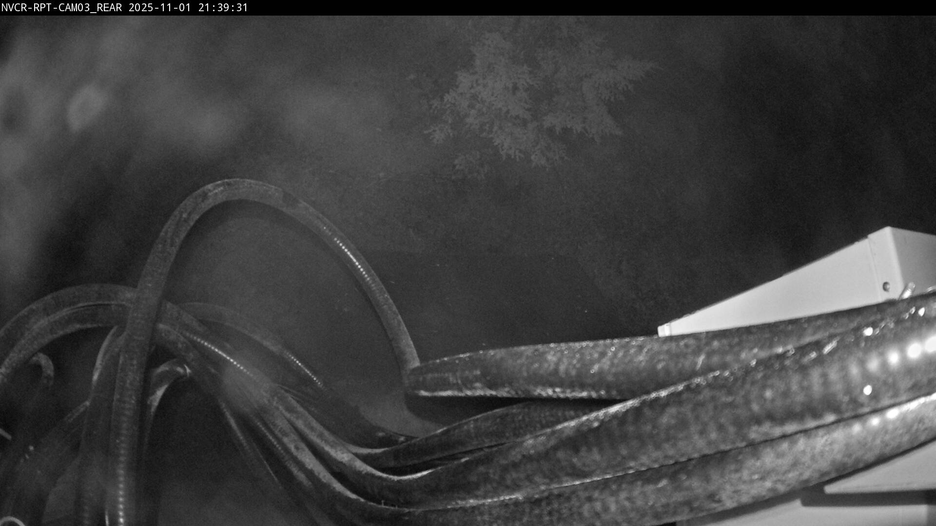 Web Cam History Image - 513