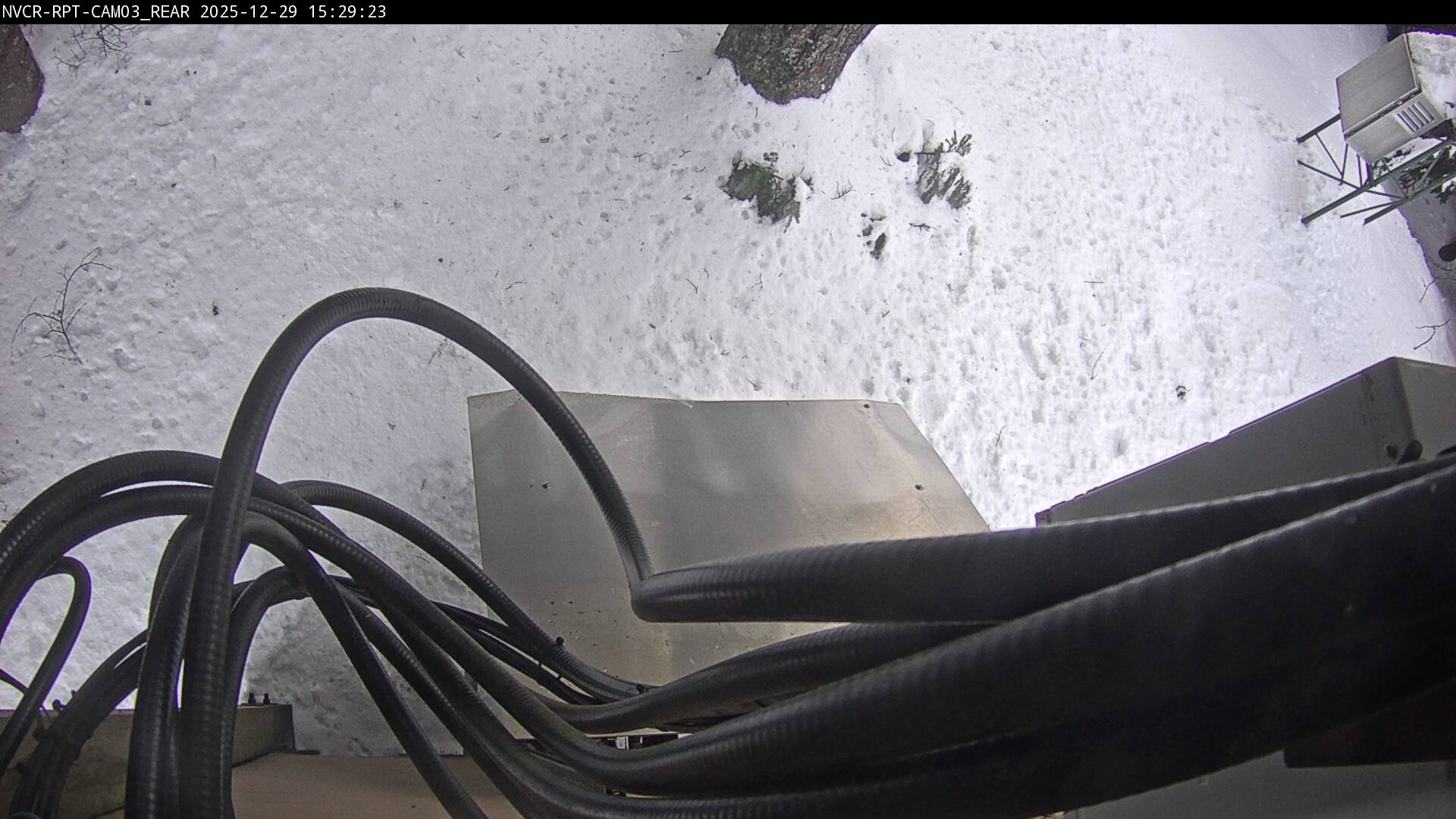 Web Cam History Image - 513