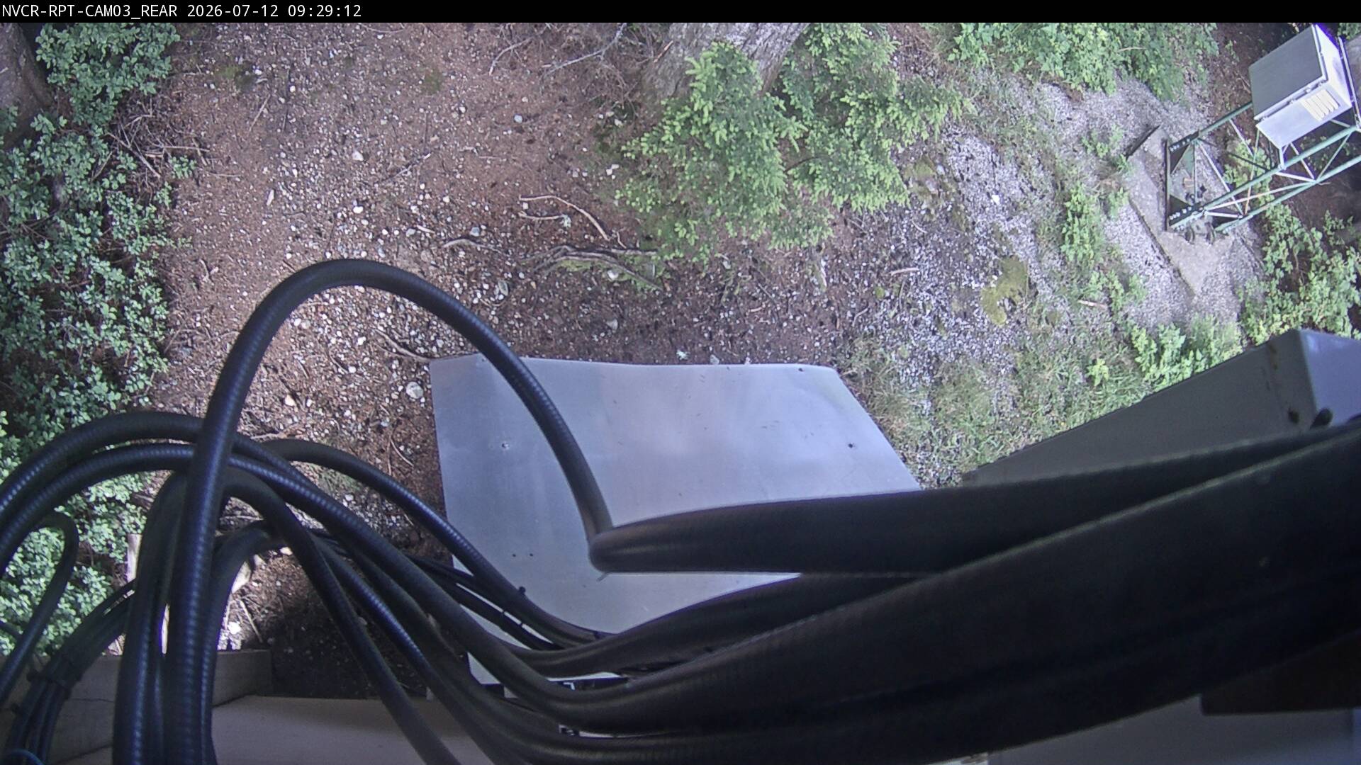 Web Cam History Image - 513