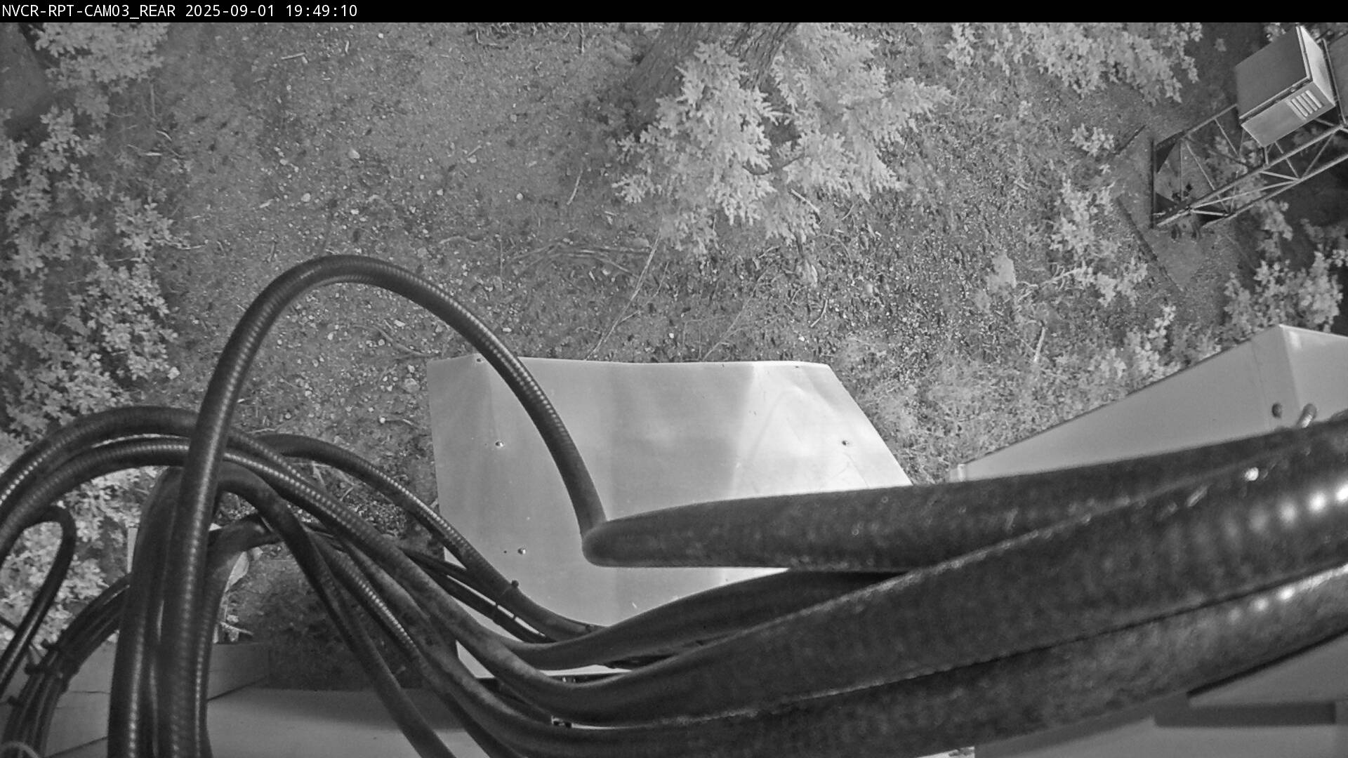 Web Cam History Image - 514