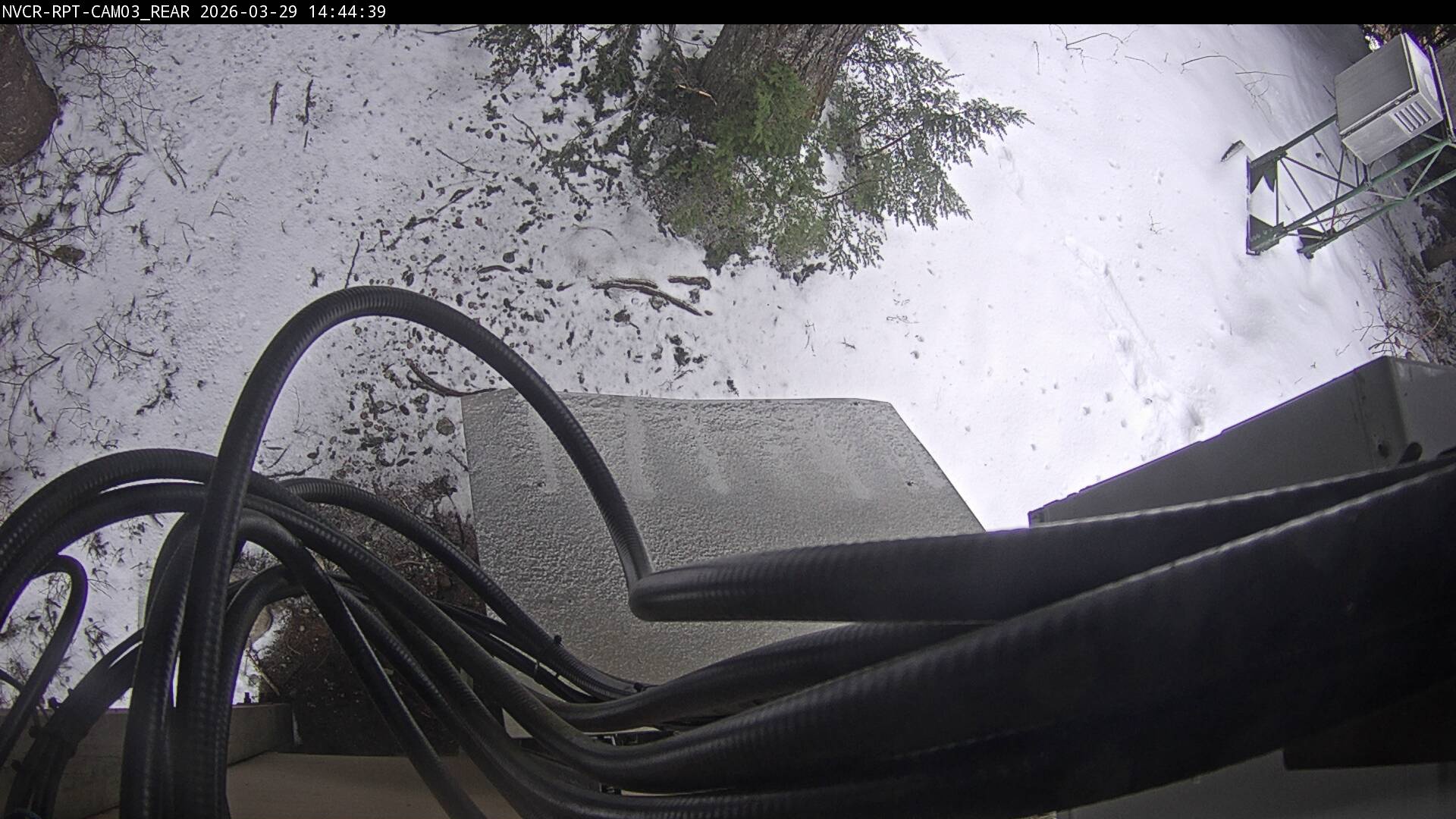 Web Cam History Image - 514