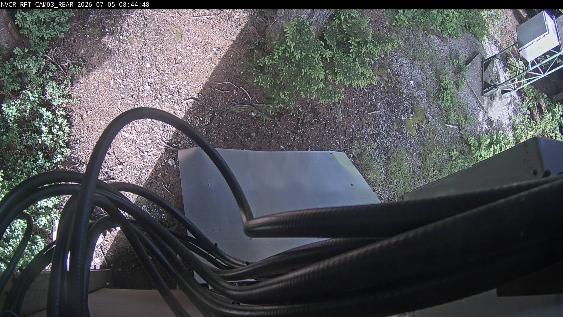 Web Cam History Image - 514