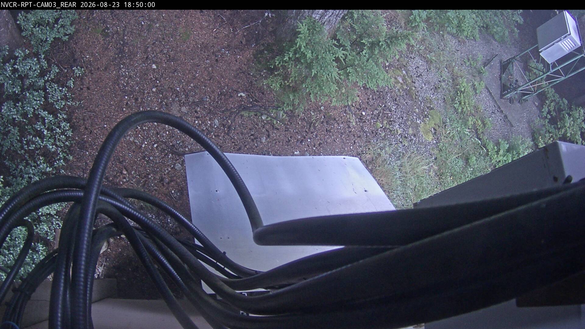 Web Cam History Image - 514