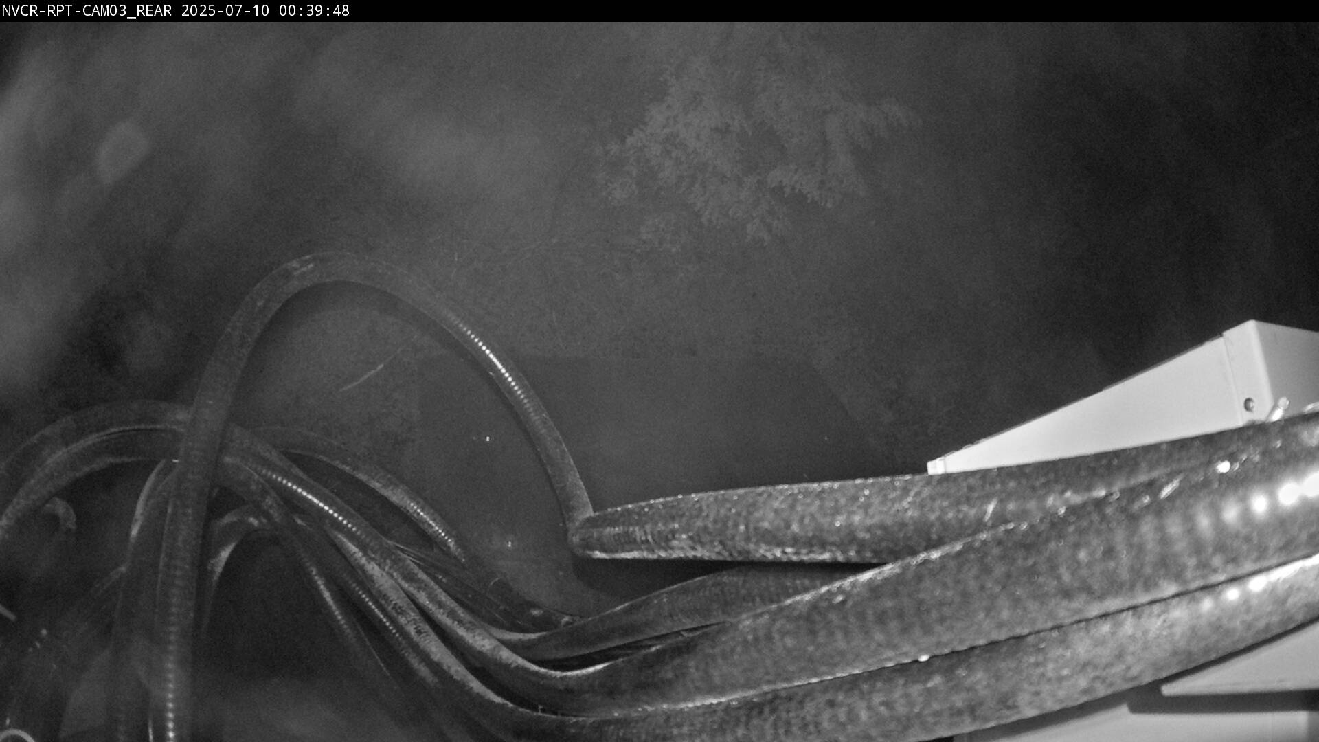 Web Cam History Image - 516