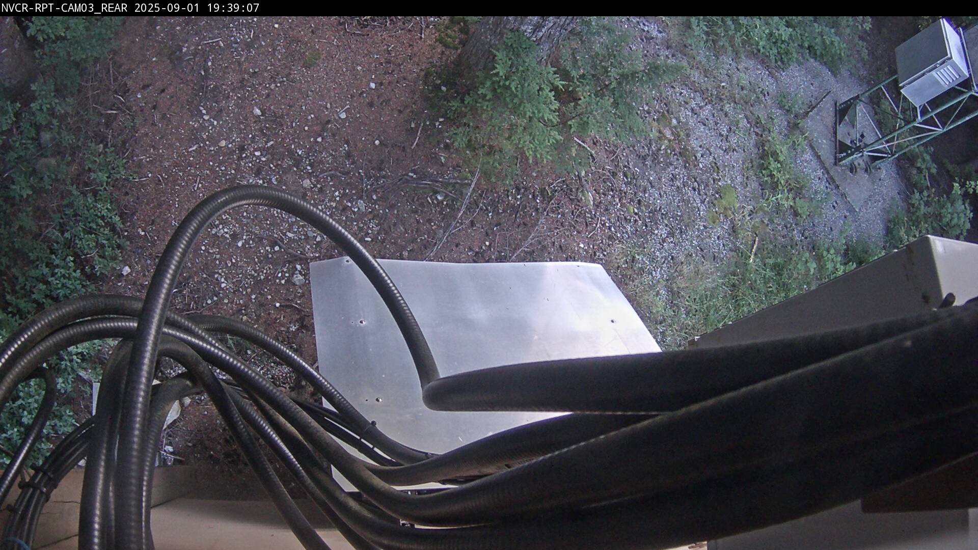 Web Cam History Image - 516