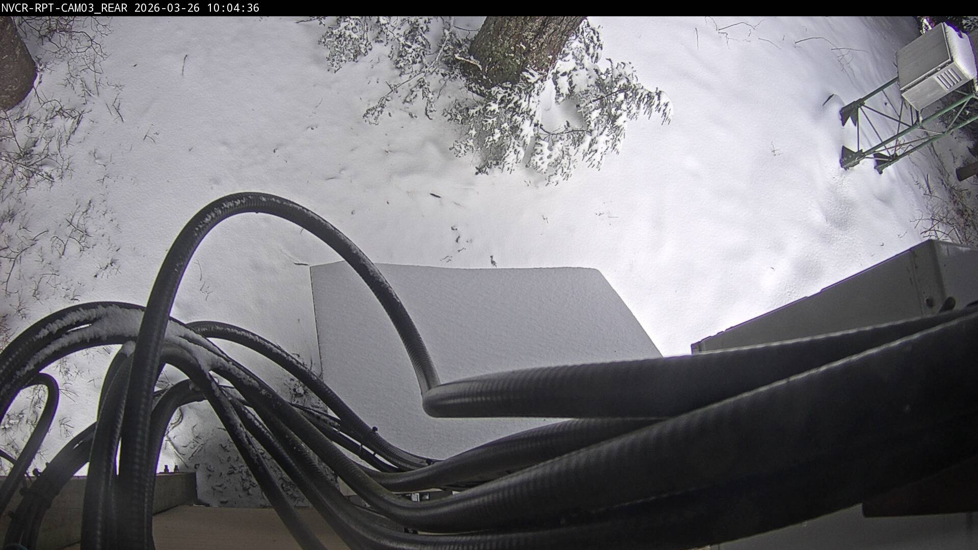 Web Cam History Image - 516