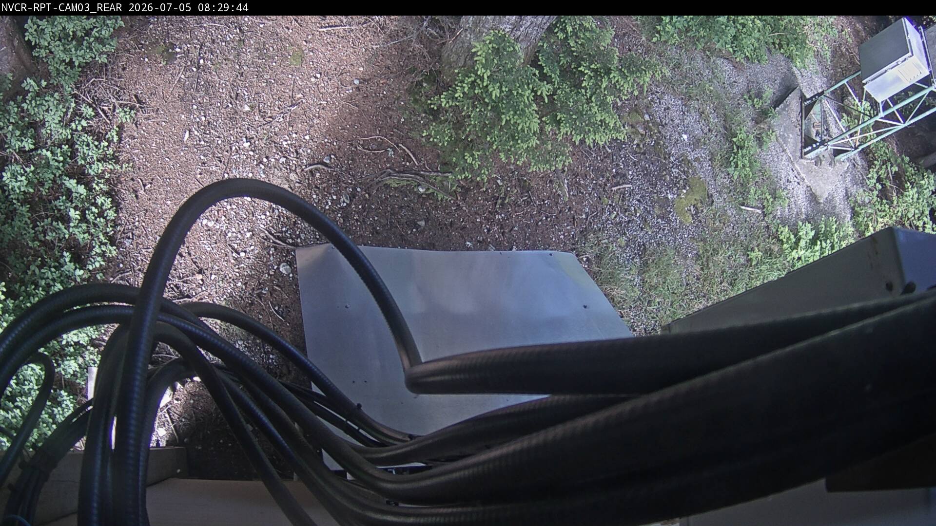Web Cam History Image - 516