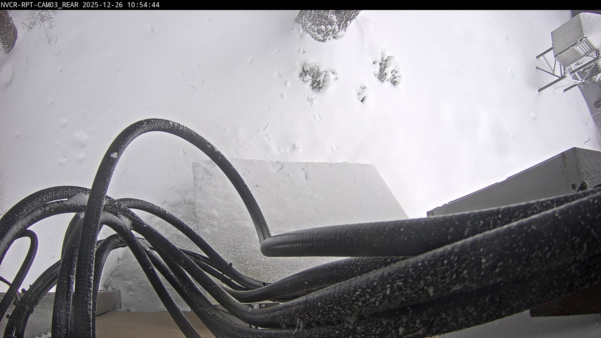 Web Cam History Image - 518