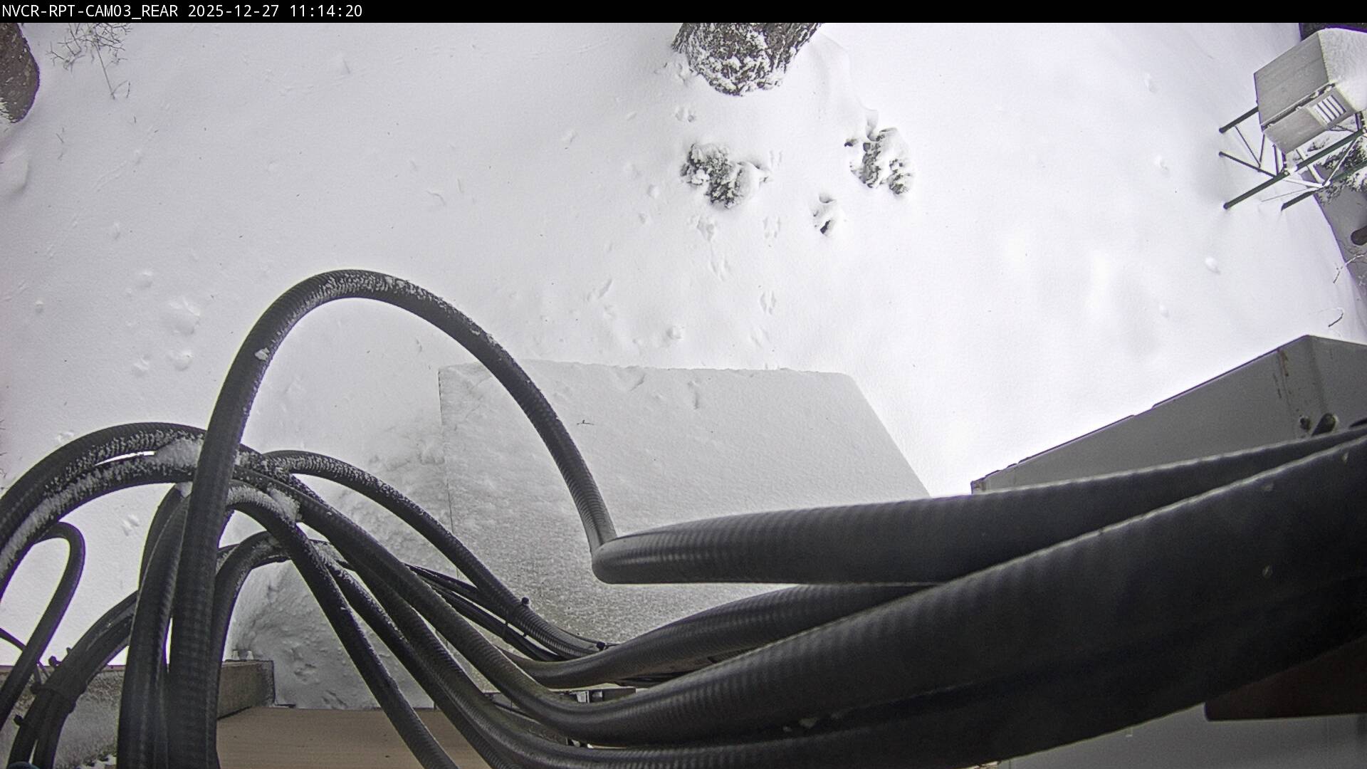 Web Cam History Image - 519