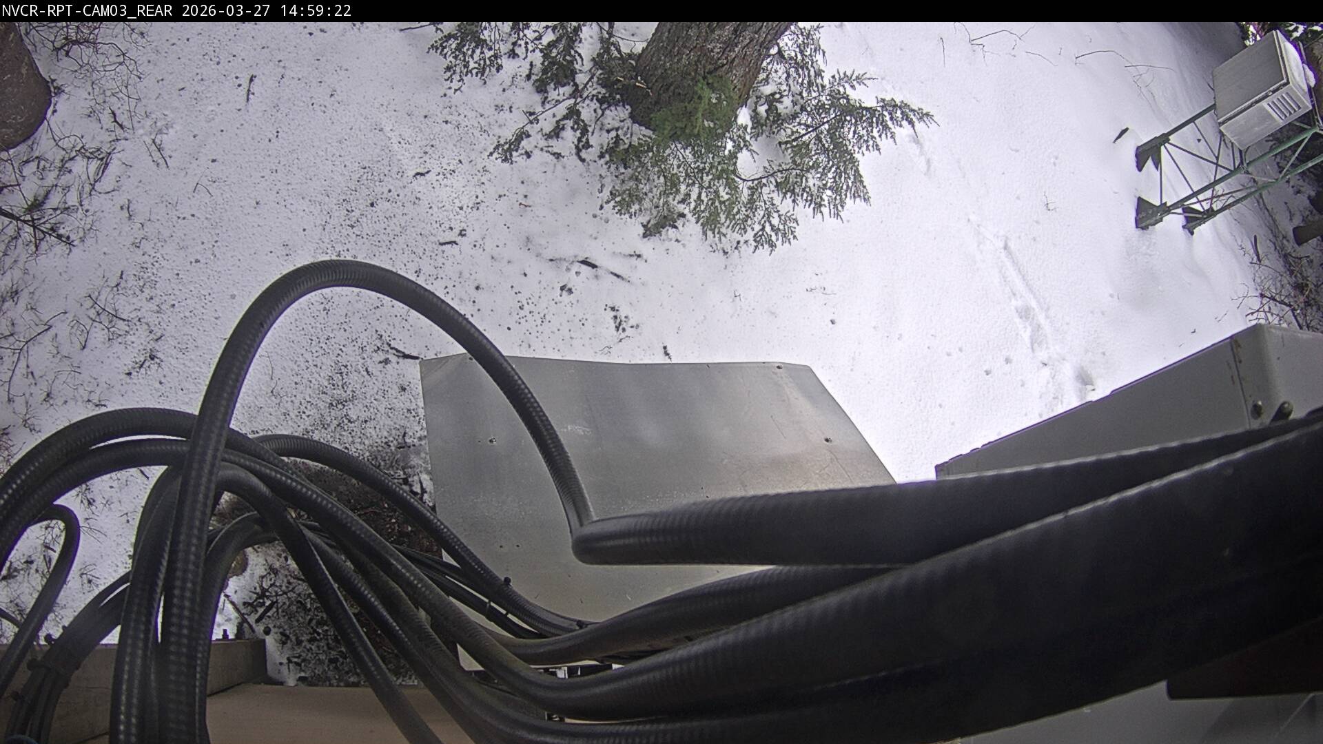 Web Cam History Image - 519