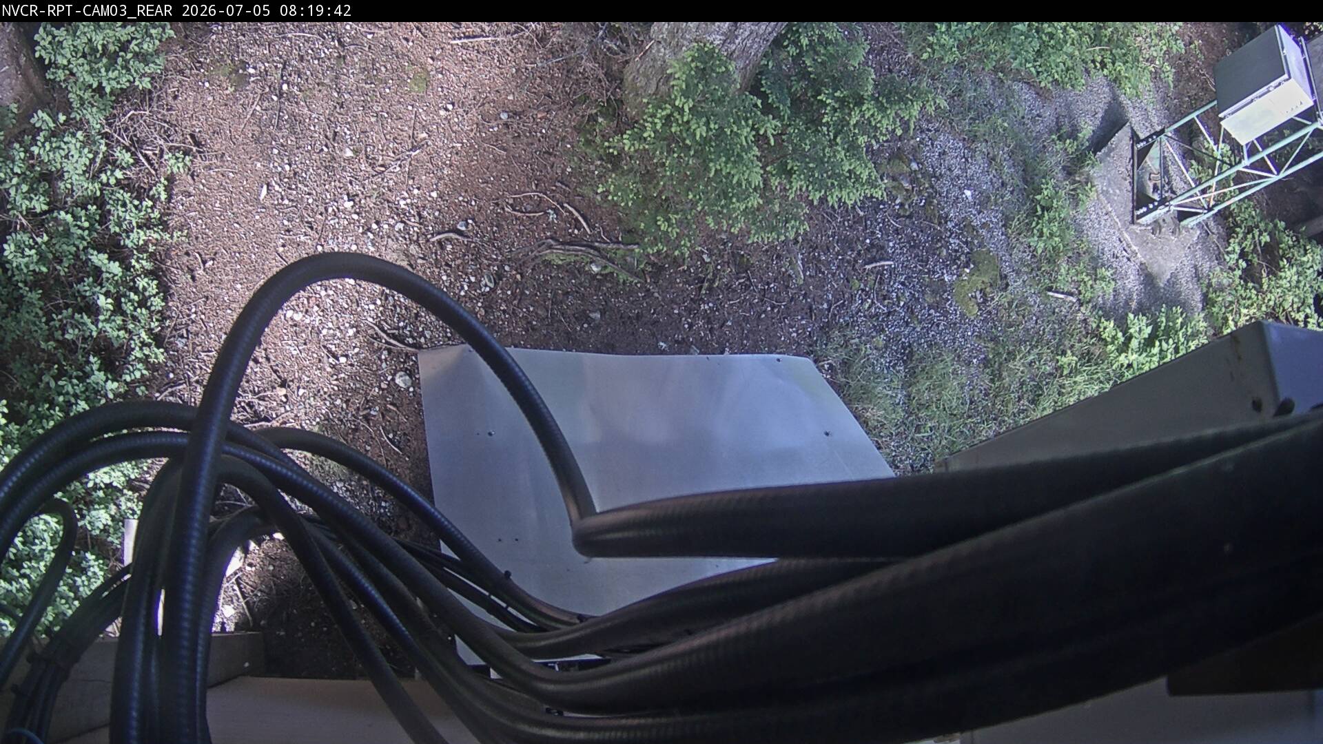 Web Cam History Image - 519