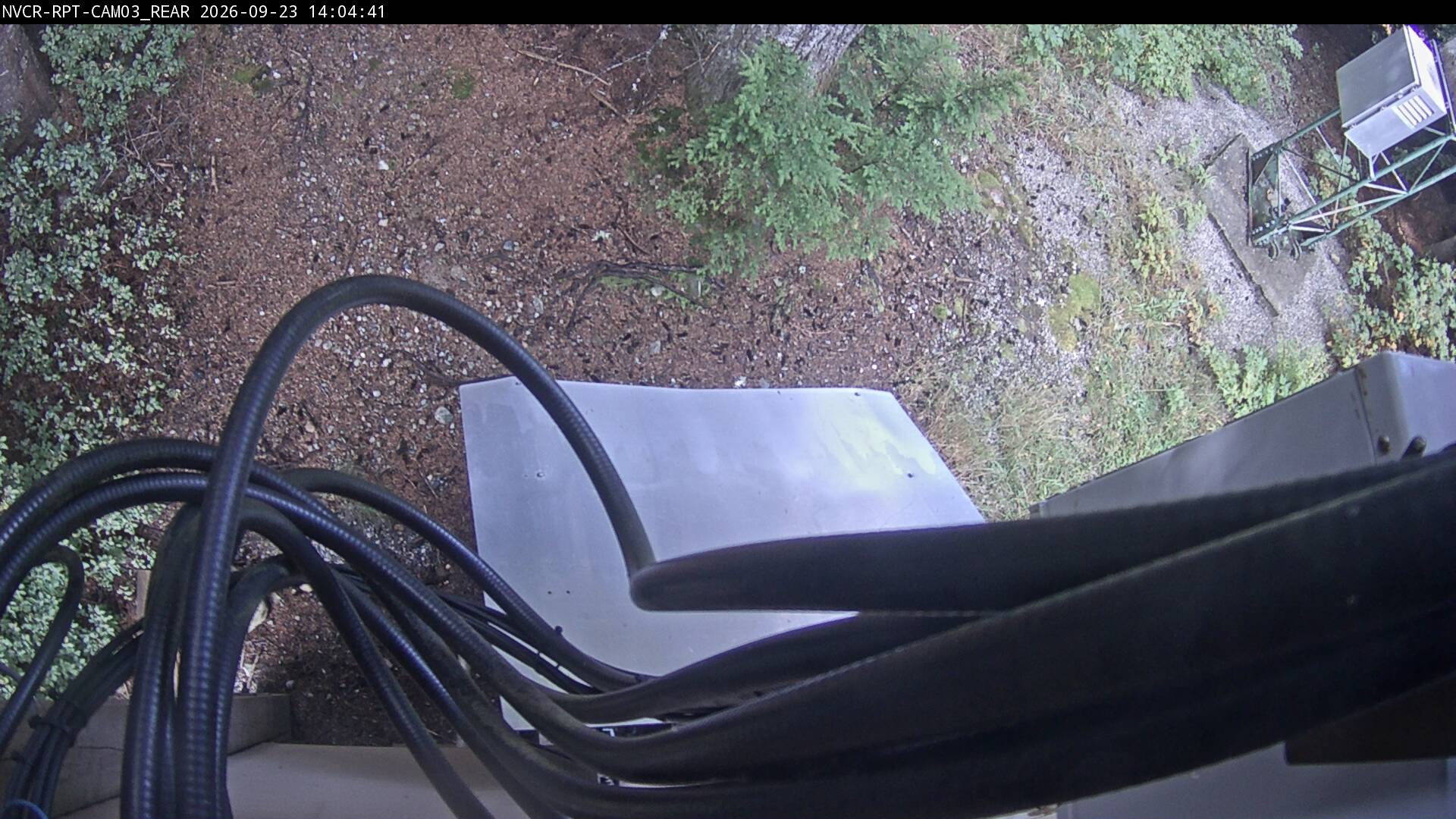 Web Cam History Image - 519