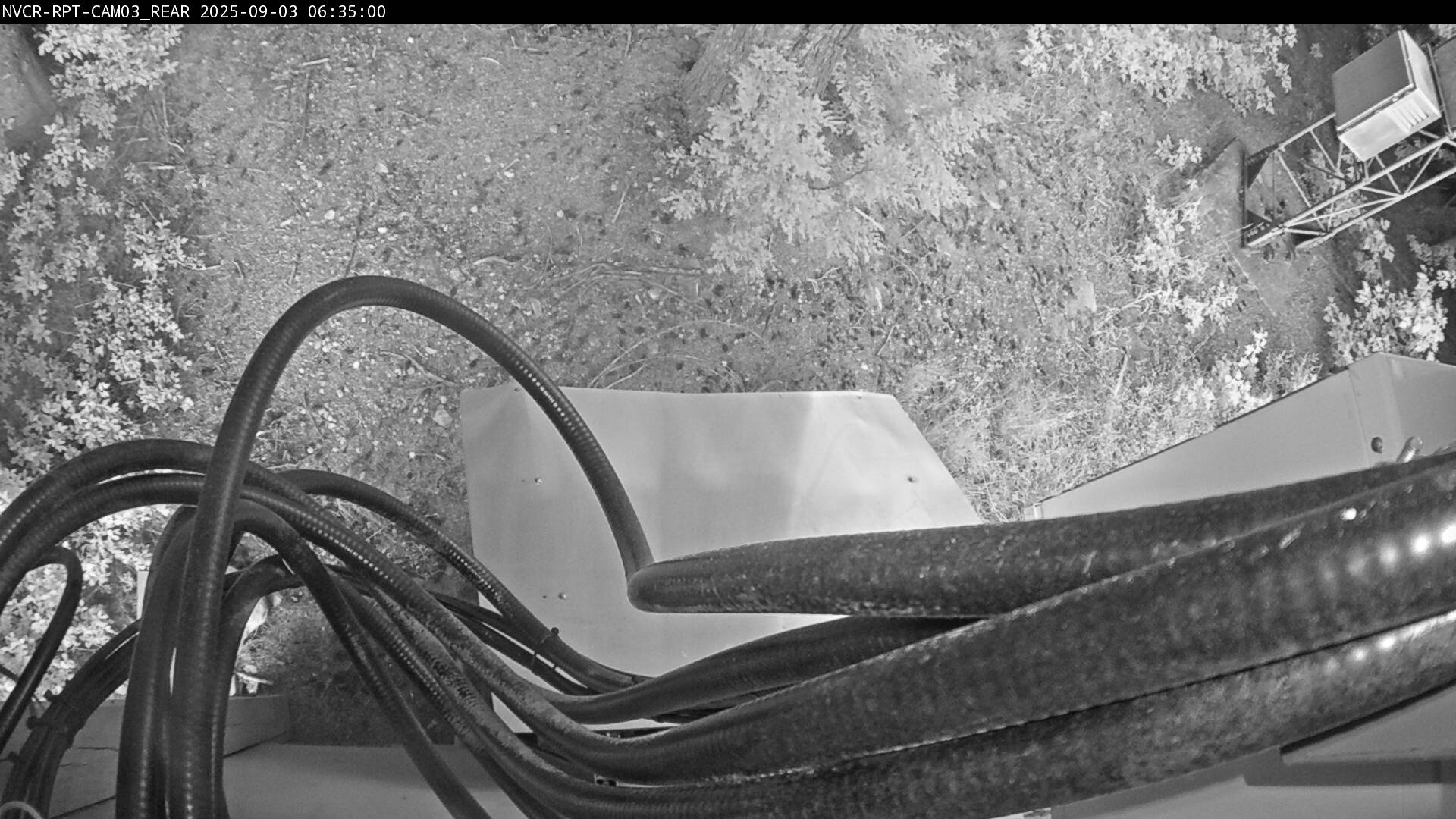 Web Cam History Image - 520