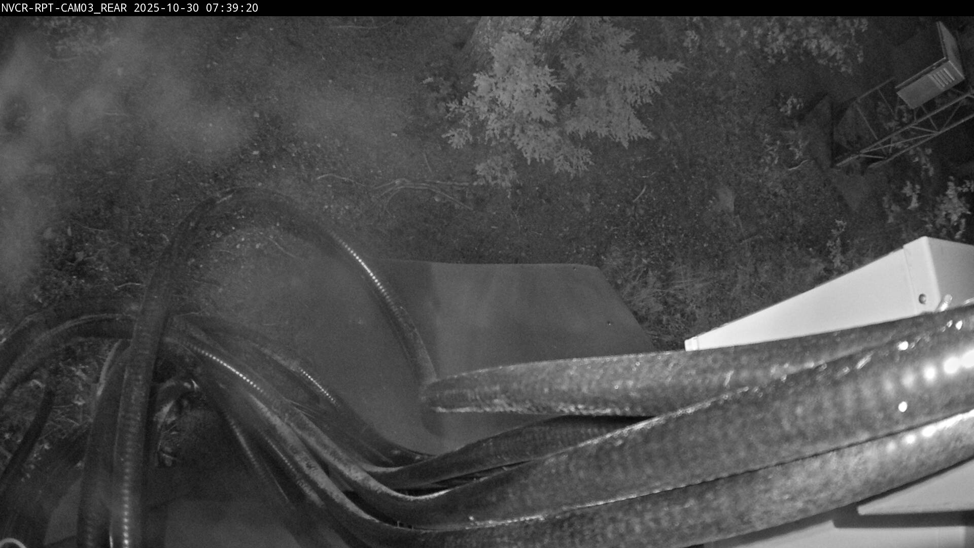 Web Cam History Image - 520