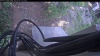 Web Cam Image - Thu, 08/06/2026 11:39am PDT