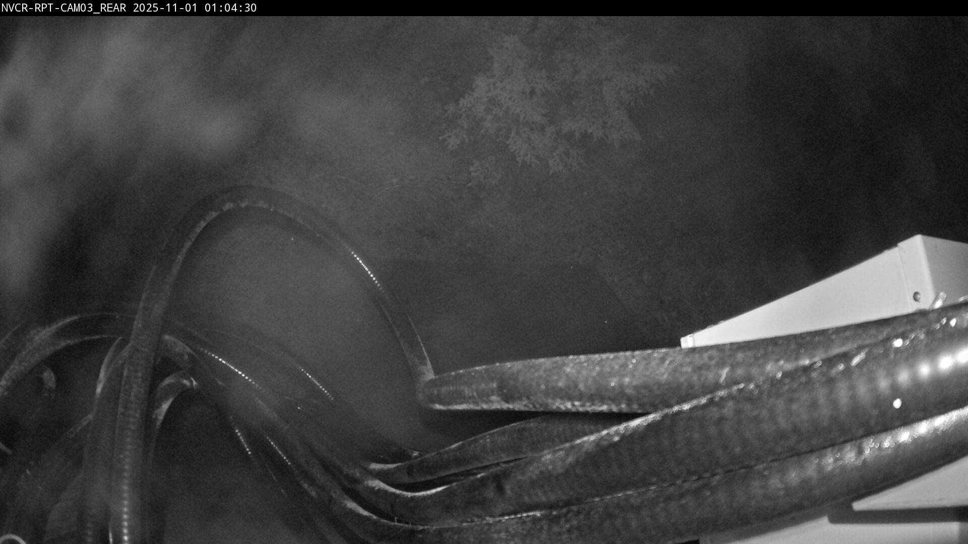 Web Cam History Image - 522