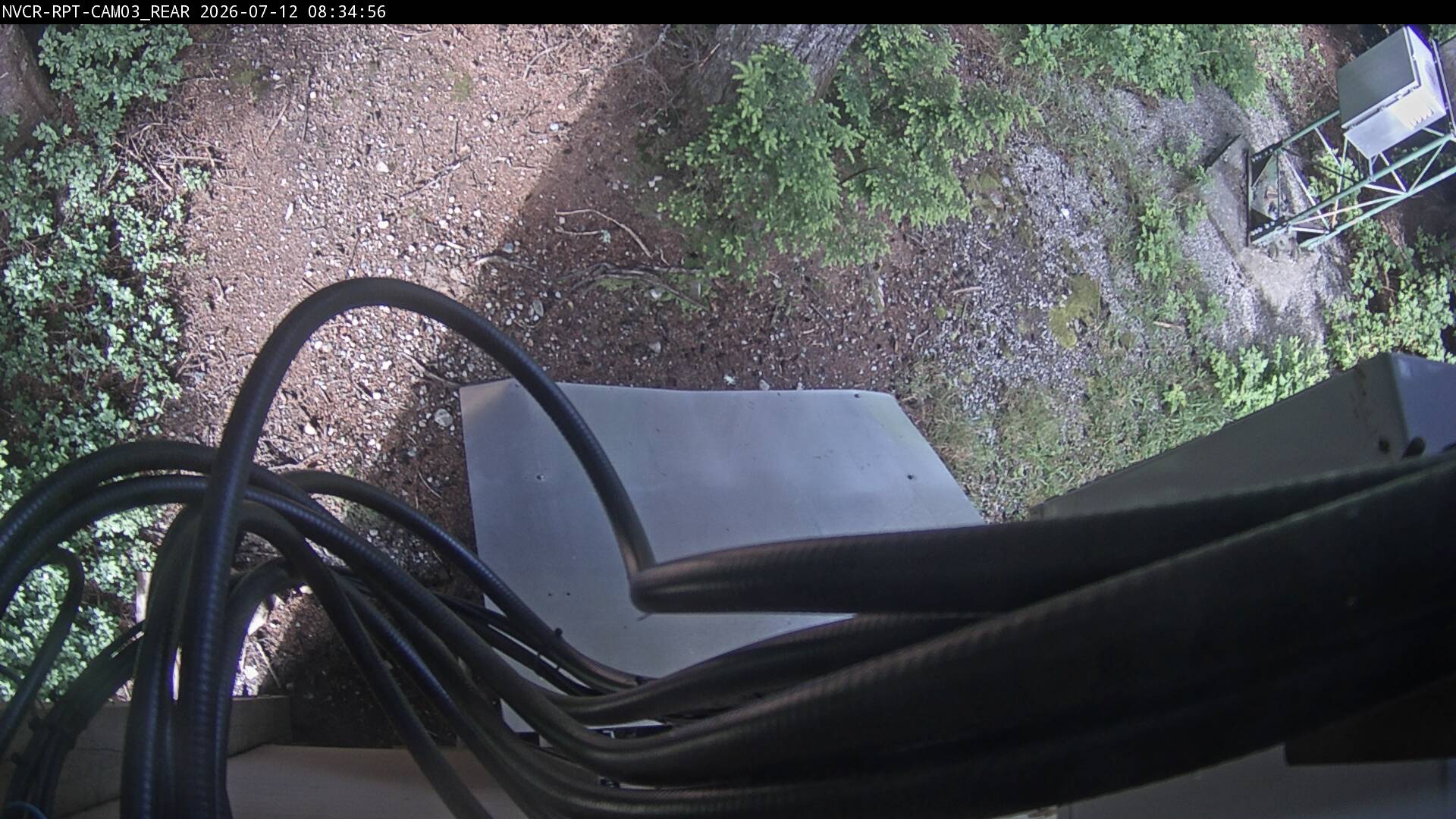 Web Cam History Image - 523