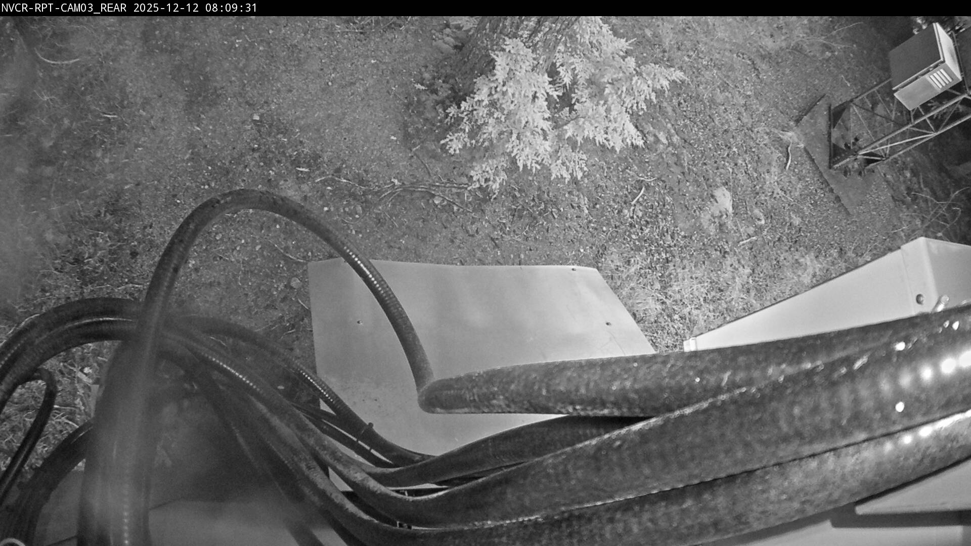 Web Cam History Image - 524