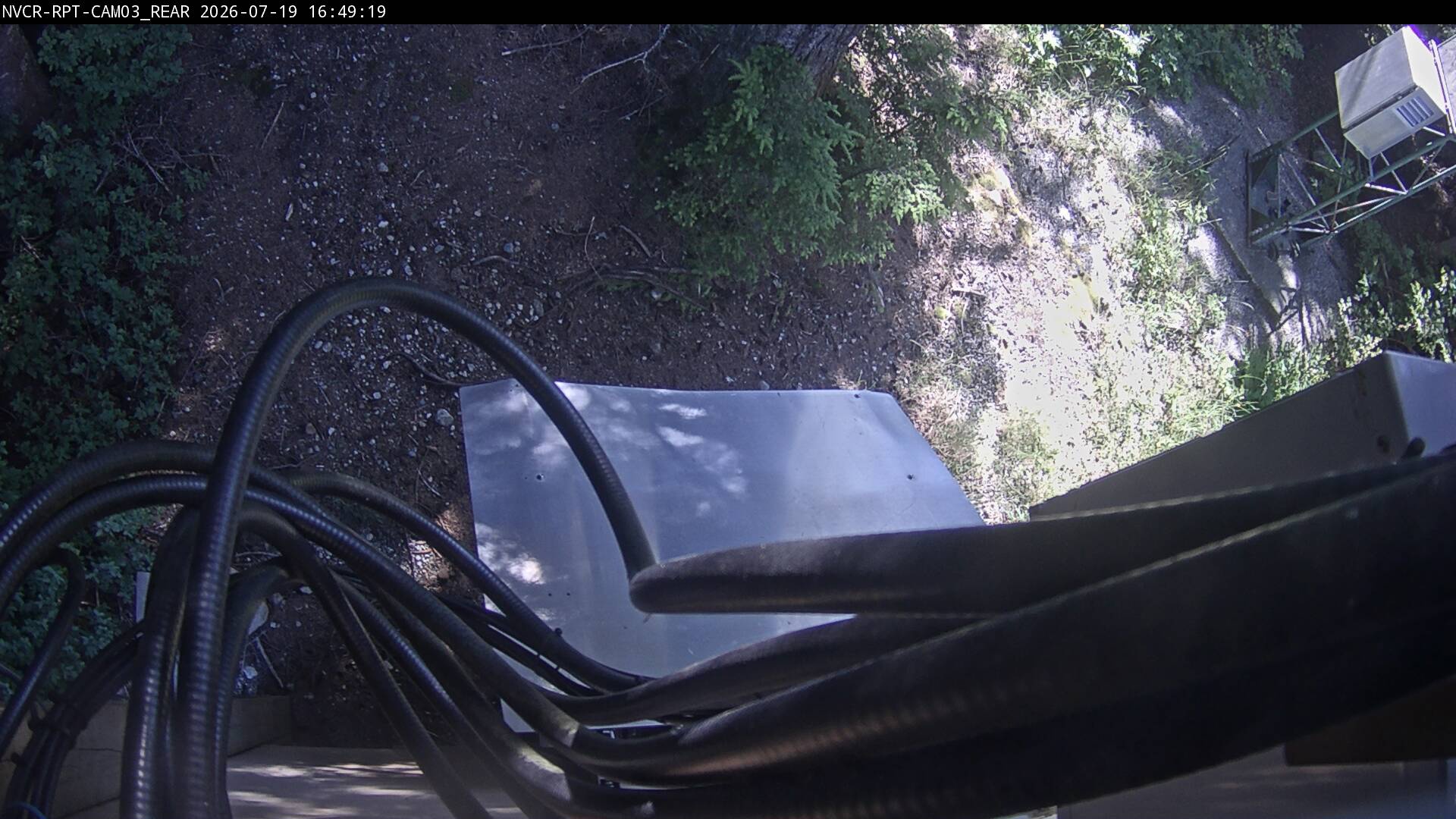 Web Cam History Image - 524