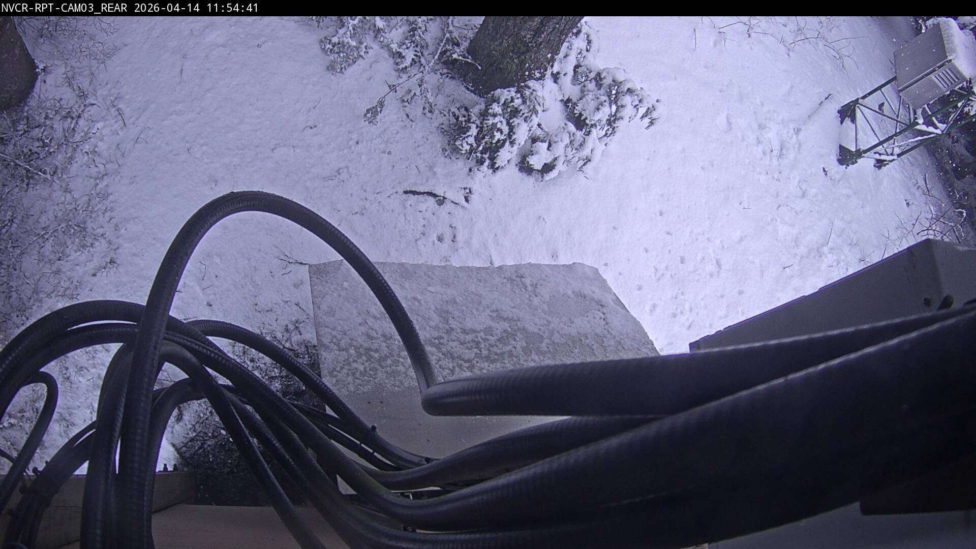 Web Cam History Image - 525