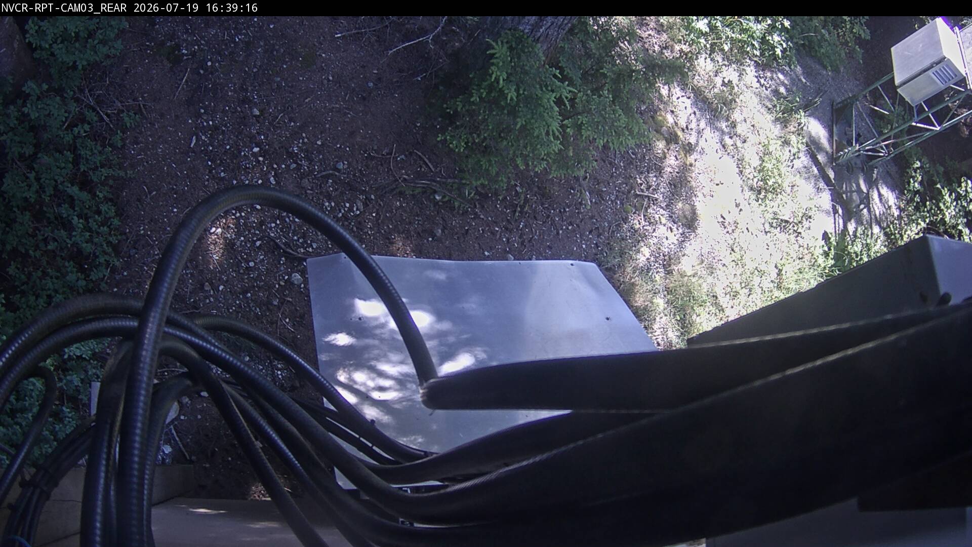Web Cam History Image - 525
