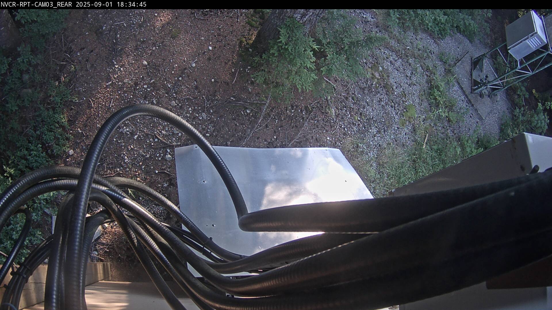 Web Cam History Image - 529