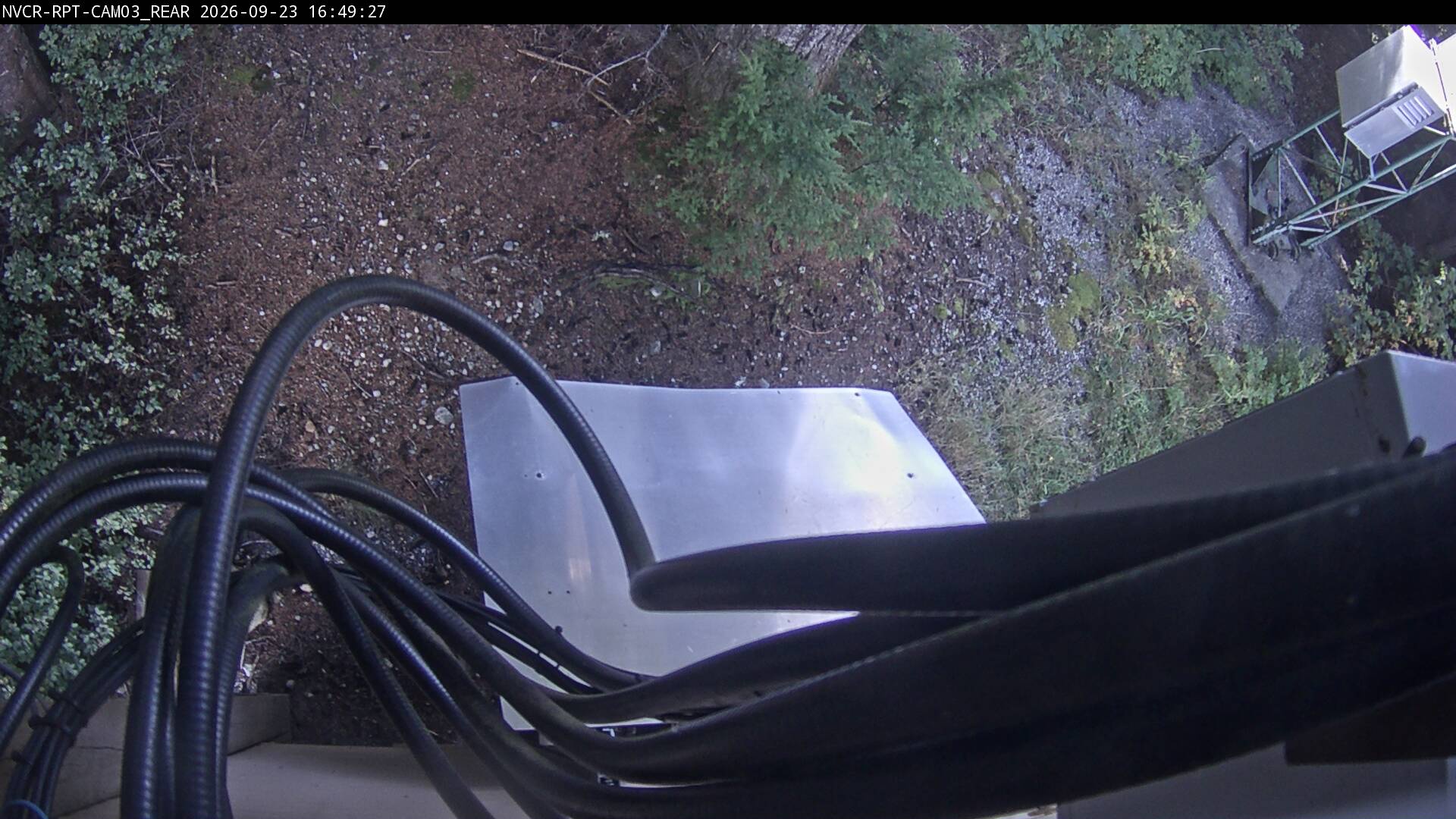 Web Cam History Image - 529