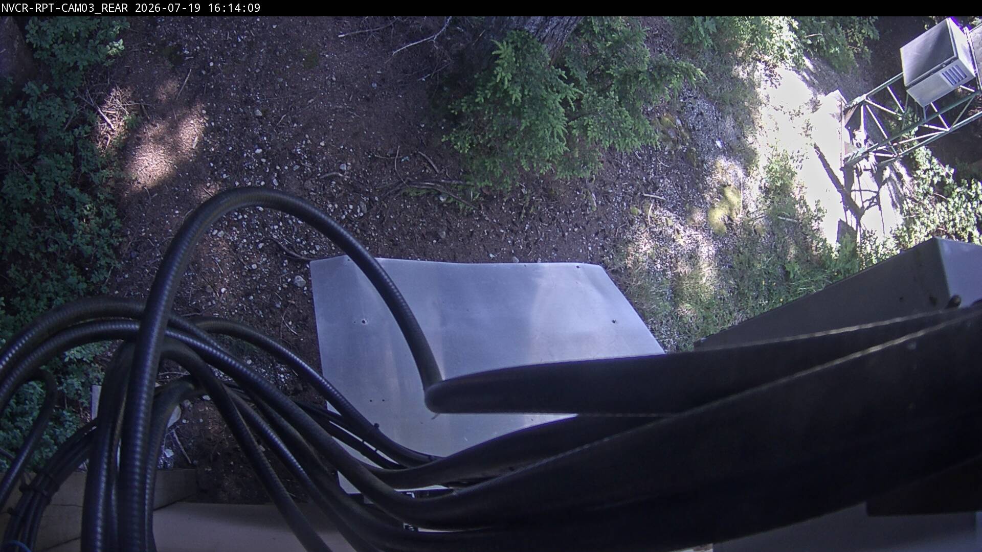 Web Cam History Image - 530